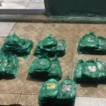 dcc7d750770d4fdbac6fa8213d0e6898